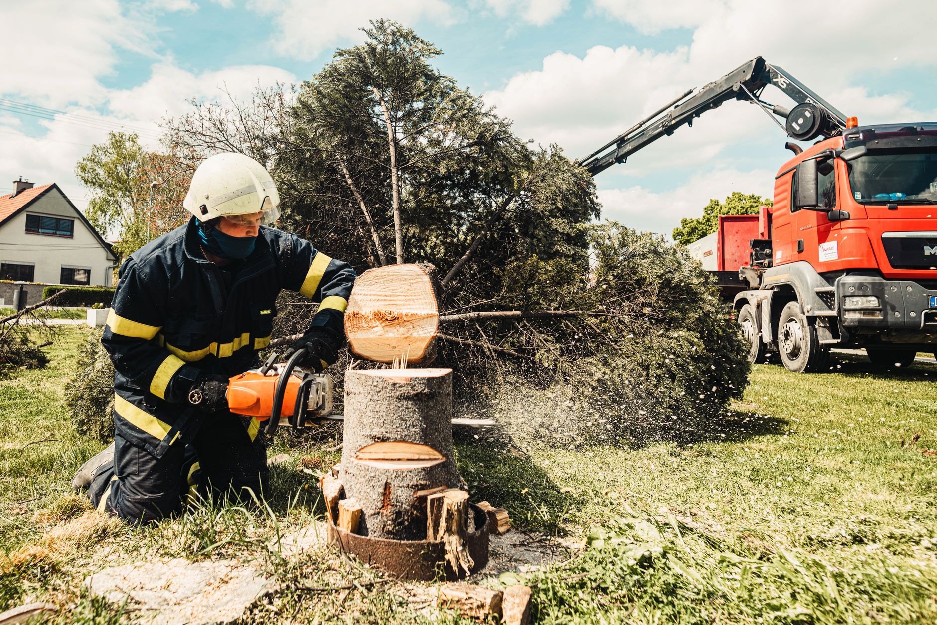 Stump Grinding